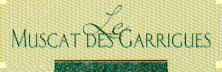 En apritif ou avec le foie gras